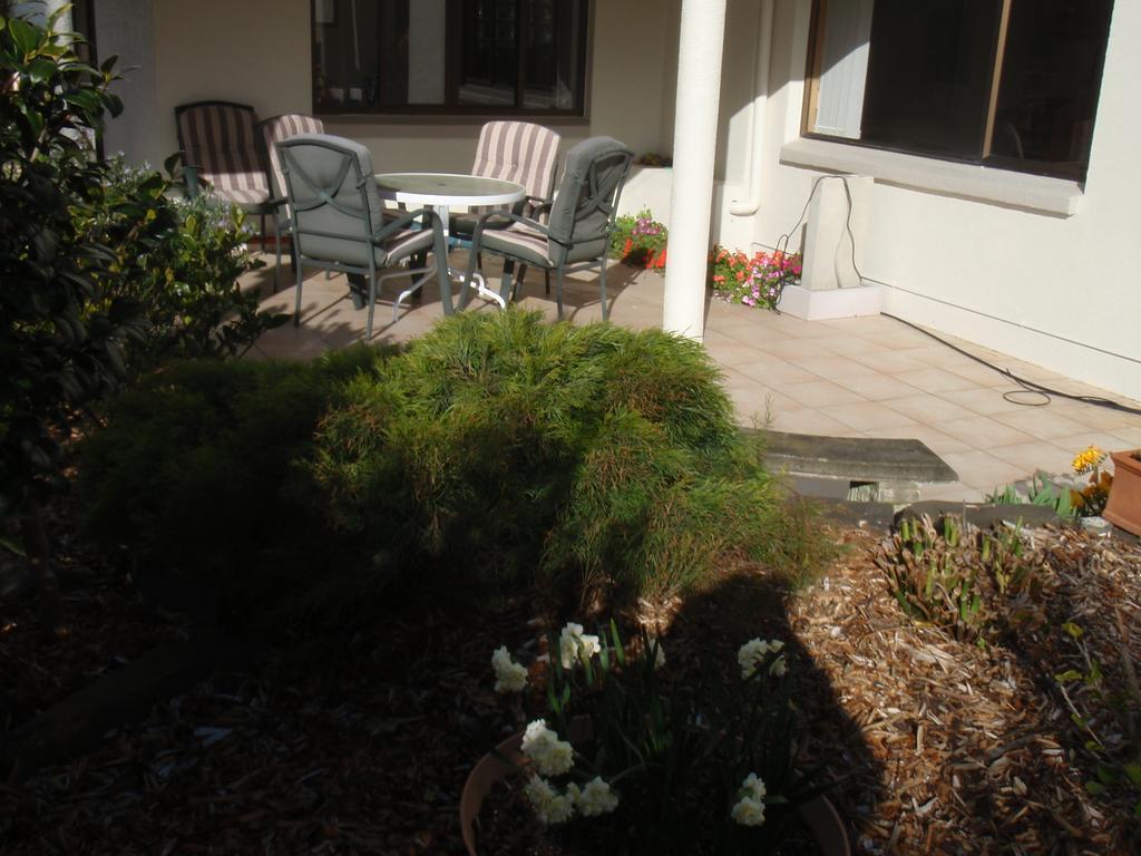 Absolute Beachview B & B Whitianga Buitenkant foto